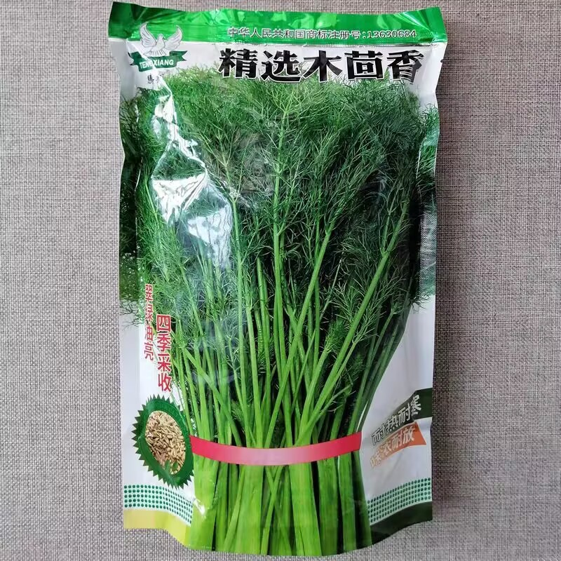 木茴香种子大扁桔茴香种子翠绿油亮四季采收