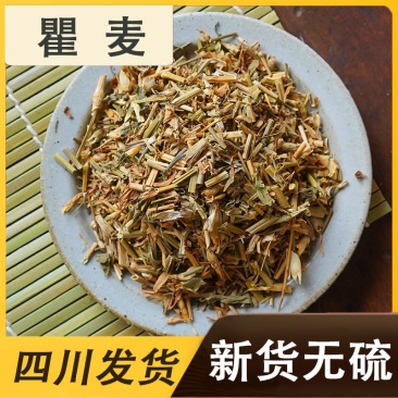 野生瞿麦中药材500g瞿麦中草药巨麦山瞿麦花石竹子花十样