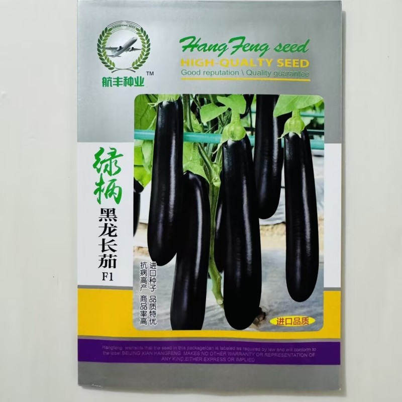 绿柄黑龙长茄种子早熟抗病茄果长直型绿把绿萼口感软绵