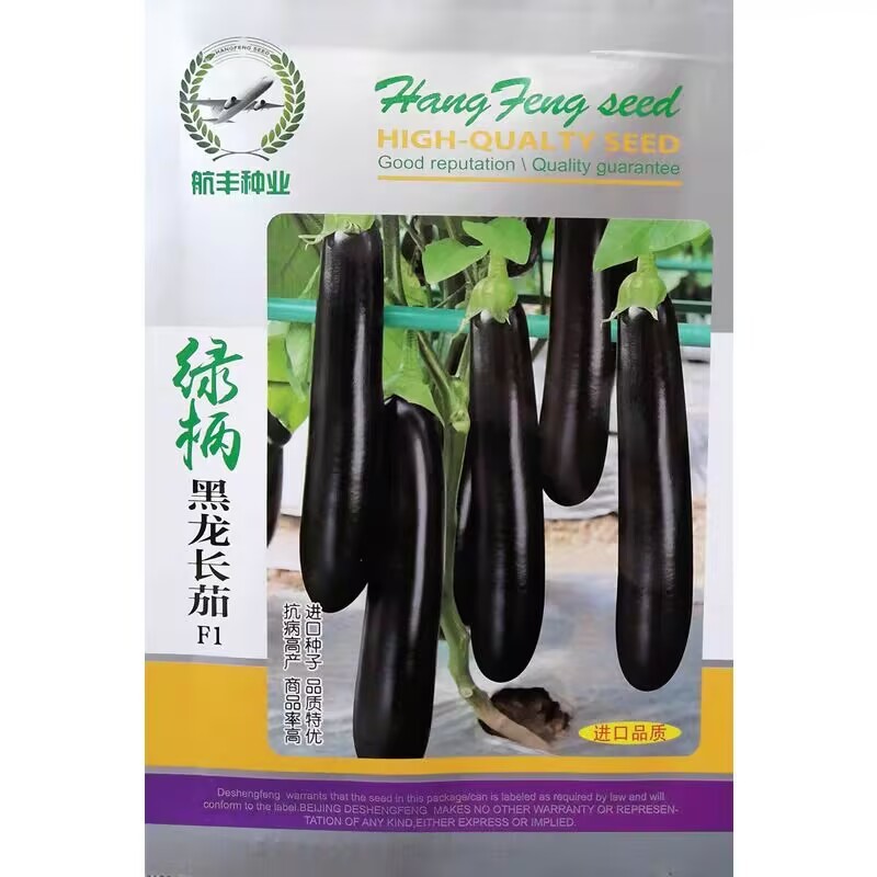 绿柄黑龙长茄种子早熟抗病茄果长直型绿把绿萼口感软绵