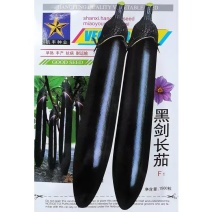 黑剑长茄种子早熟抗病茄条黑亮不早衰采收时间长