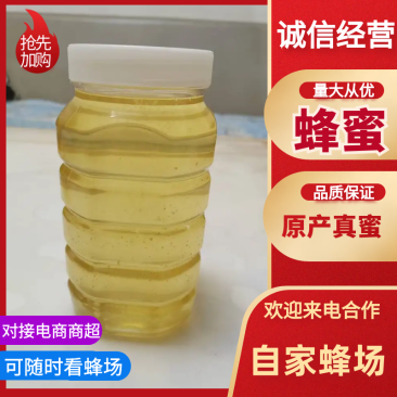 蜂蜜产地直发品质保证自家蜂场欢迎联系