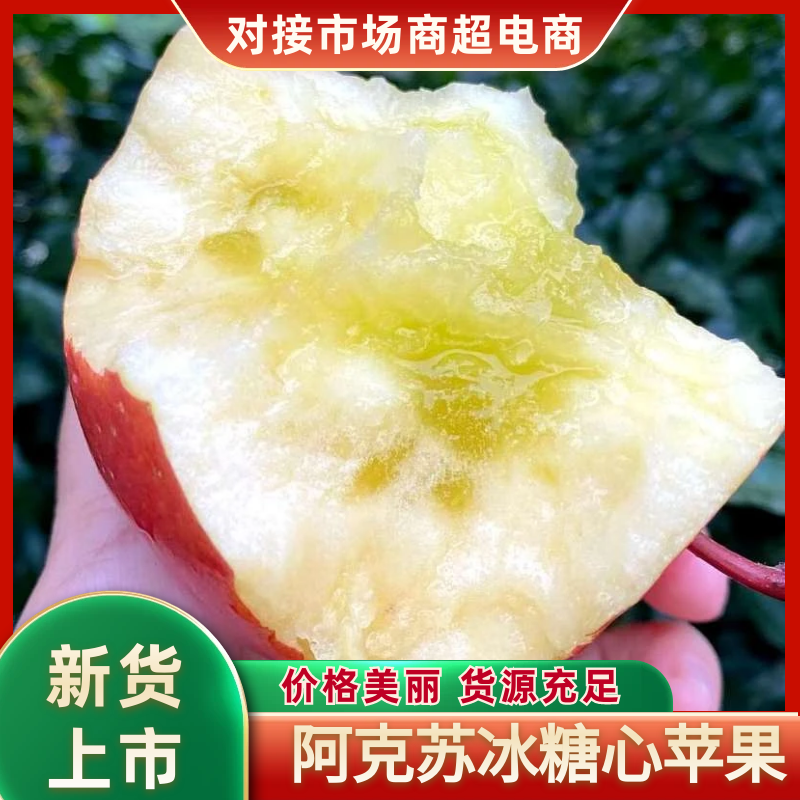 新疆阿克苏红旗坡，冰糖心红富士苹果