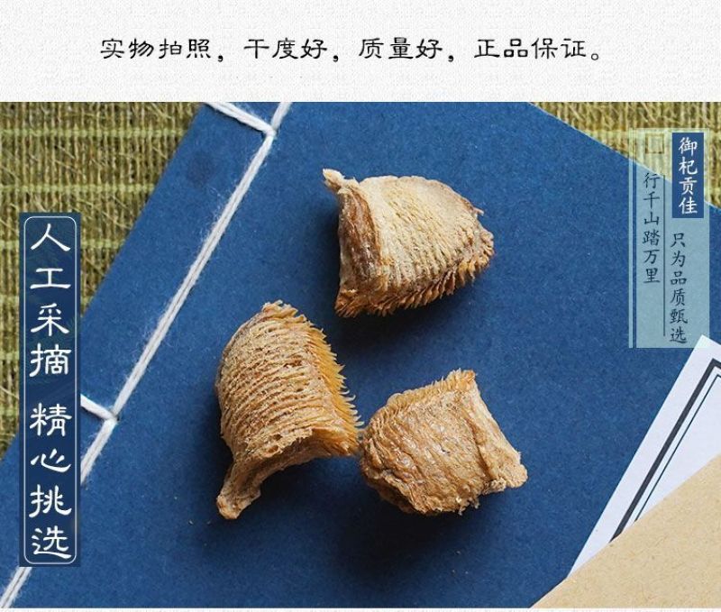 野生桑螵蛸中药材500g膘销桑膘硝桑飘蛸野螳螂子螳螂卵鞘
