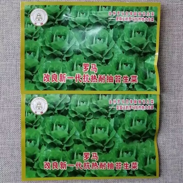 罗马四季耐抽苔生菜种子抗病抗热抗寒生长速度快