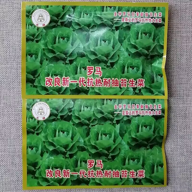 罗马四季耐抽苔生菜种子抗病抗热抗寒生长速度快