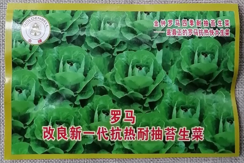 罗马四季耐抽苔生菜种子抗病抗热抗寒生长速度快