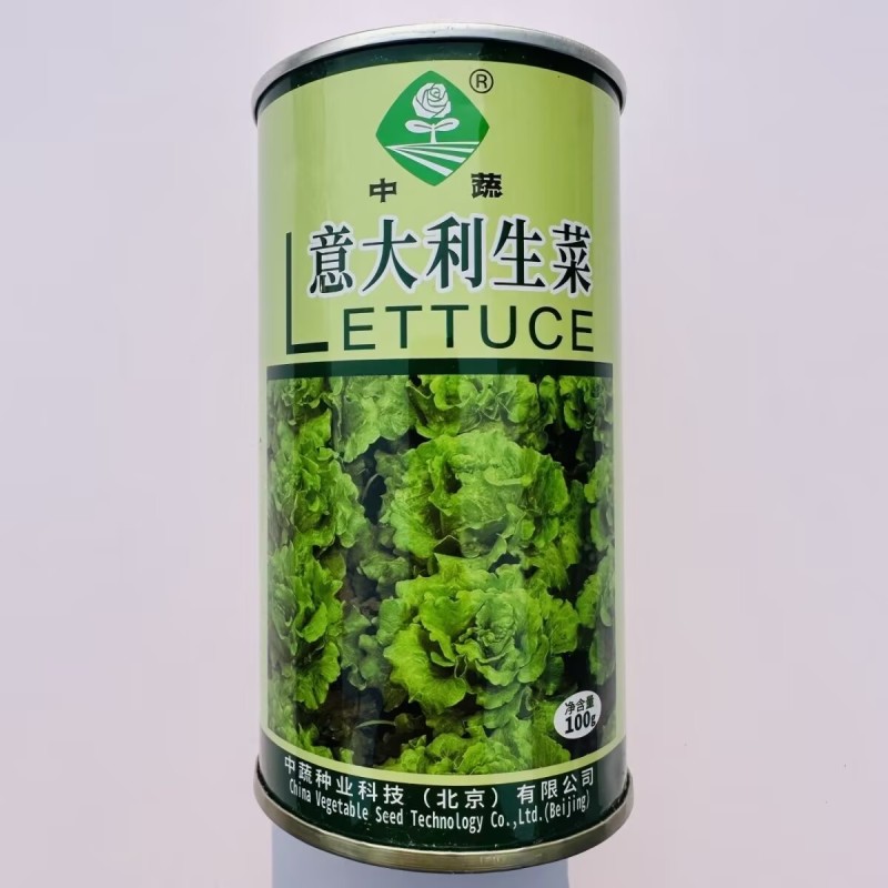 意大利生菜种子半结球生菜种子味香微甜耐热耐寒耐抽苔