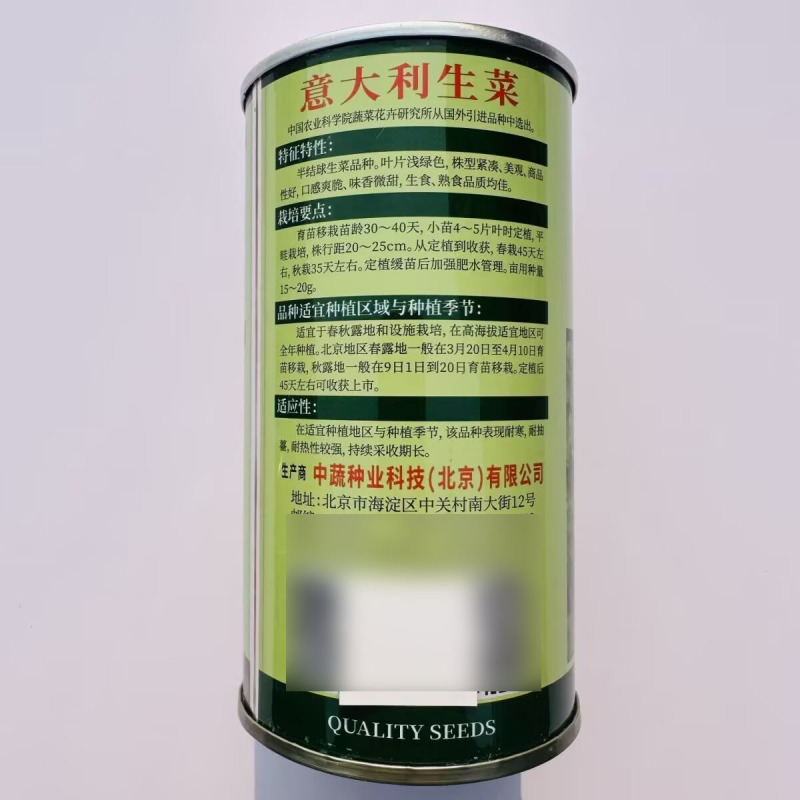 意大利生菜种子半结球生菜种子味香微甜耐热耐寒耐抽苔