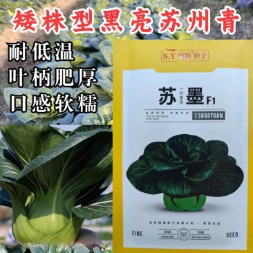 苏墨苏州青种子硕源耐寒大头黑叶菜矮脚苏州青菜秋冬蔬菜种子