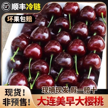 【3斤】大连美早樱桃新鲜水果国产车厘子