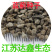 批发蓝蓟种子花卉种籽蓝鲫花种子观花景观植物花卉种子