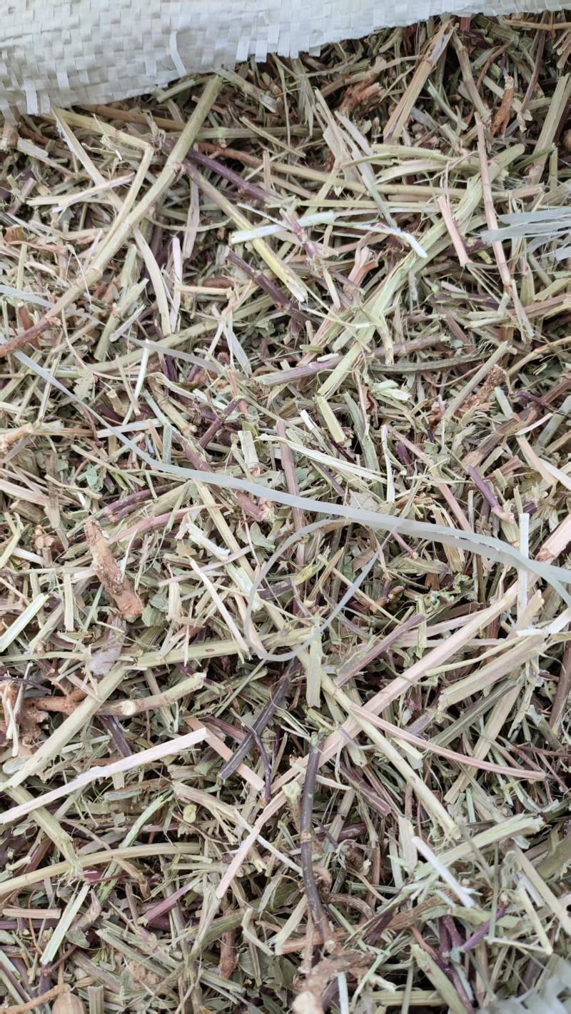风选柔丝花生秧，价格随行就市，量大从优真诚，真诚做生意