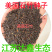 批发绿化美国石竹种子园林工程花卉草种籽美国石竹花卉种