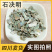 精选石决明中药材片石决明粒鲍鱼壳片不硫熏精选正品新货纯天