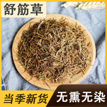 贵州野生舒筋草藤石松舒筋草大马尾草农产品初加工新货中药材