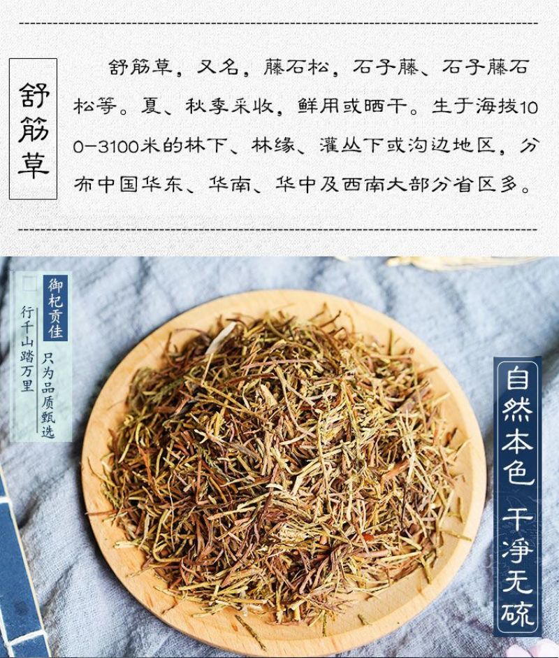 贵州野生舒筋草藤石松舒筋草大马尾草农产品初加工新货中药材
