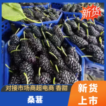 【产地直发】德昌鲜桑葚专业代办市场供应一手货源产地直发
