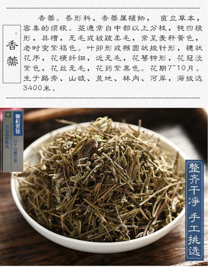香薷中药材克新货正品香薷草香茹香薷粉非香薷茶香薷饮