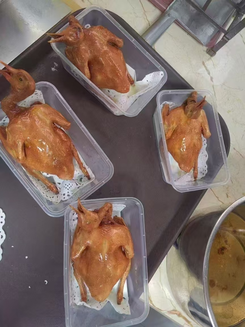 乳鸽鸽子产地直销大量走货一手货源欢迎各大老板咨询采购