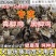青脚鸡苗土鸡苗农村自家散养草鸡苗品种保证提供养殖技术