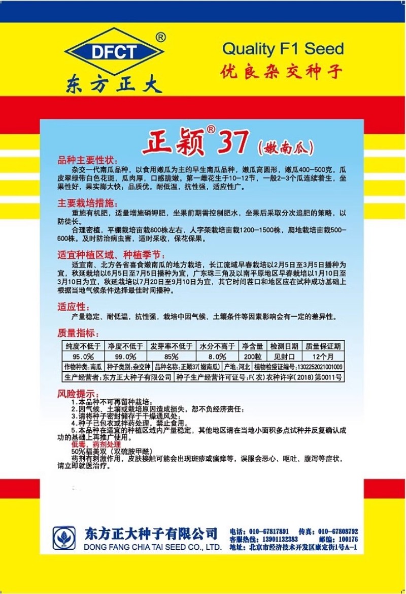 正颖37嫩南瓜种子早生南瓜口感脆嫩抗病耐低温