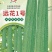 远花1号大肉花点丝瓜种子瓜条顺直抗热抗病口感爽脆清甜