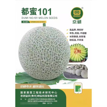 都蜜101网纹甜瓜种子早熟抗病耐裂高糖耐低温不早衰