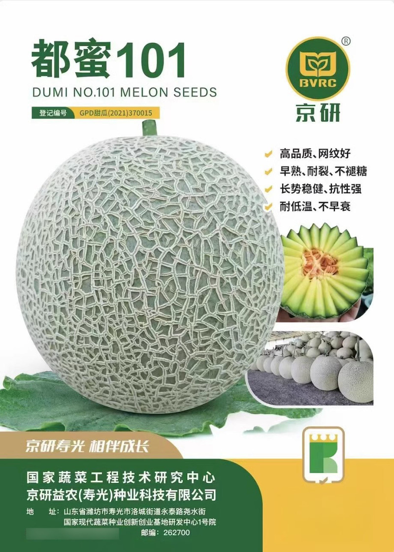 都蜜101网纹甜瓜种子早熟抗病耐裂高糖耐低温不早衰