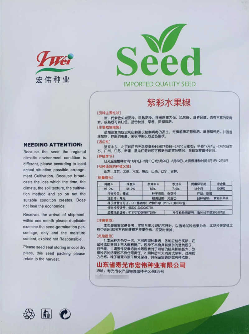 紫彩水果椒种子紫色尖椒种子早熟品种连续坐果力强