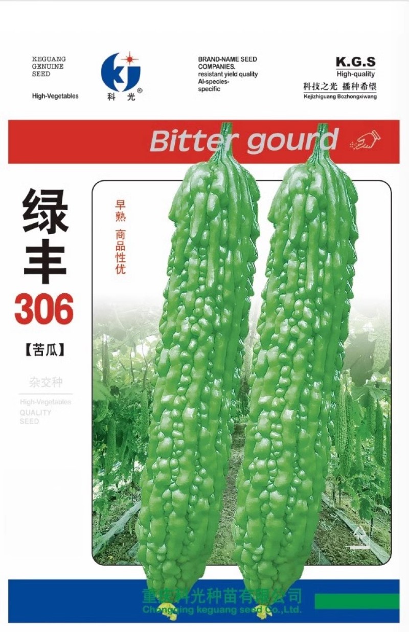 绿丰306苦瓜种子早熟耐热浅绿色瓜刺瘤江苦味适中
