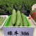 绿丰306苦瓜种子早熟耐热浅绿色瓜刺瘤江苦味适中