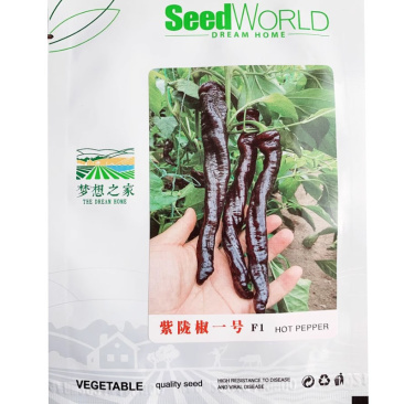 紫陇椒一号种子紫螺丝椒种子早熟品种香辣可口