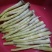 {牛商}沅江芦笋7cm以上大量上货，欢迎来电