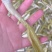 {牛商}沅江芦笋7cm以上大量上货，欢迎来电