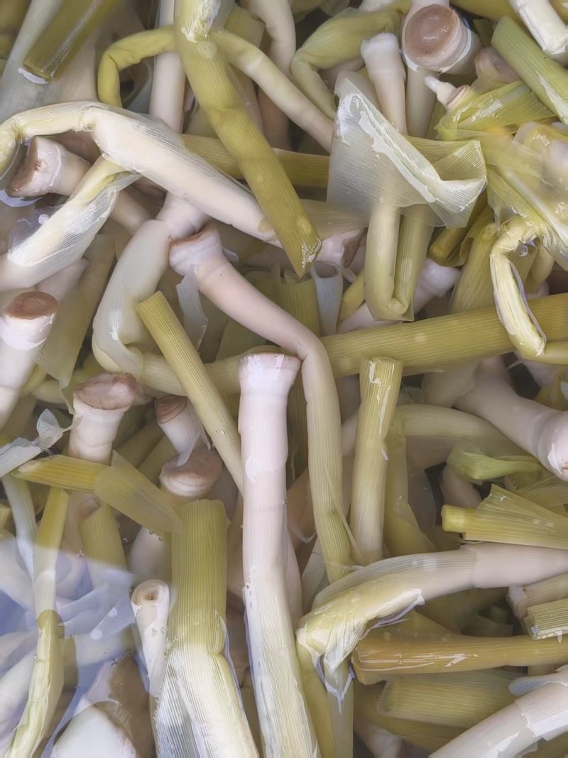 {牛商}沅江芦笋7cm以上大量上货，欢迎来电