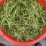 沅江芦蒿，野黎蒿，大量上市，欢迎来电