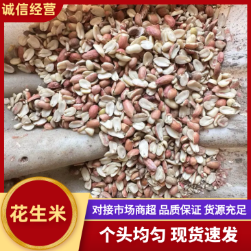 新季花生鲁花八号榨油专用七个筛下一手货源色选