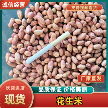 【脱壳花生米】安徽自有一手货源，鲁花八号，出油率大