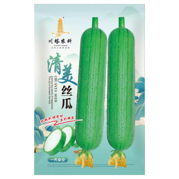 清美丝瓜种子早中熟果肉紧实抗病耐贮运连续座果强