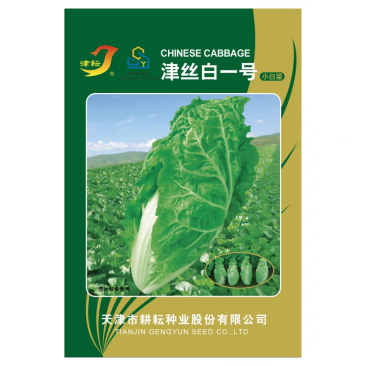 津丝白一号小白菜种子球顶柠抱嫩甜生长速度快耐热耐湿