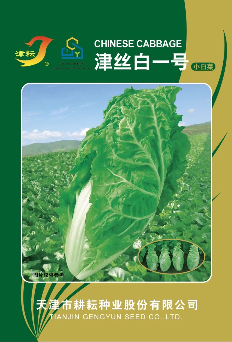 津丝白一号小白菜种子球顶柠抱嫩甜生长速度快耐热耐湿