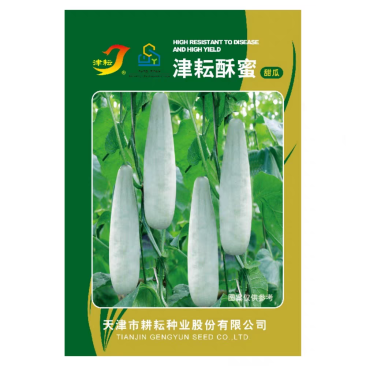津耘酥蜜甜瓜种子果型羊角型香甜酥脆细嫩多汁