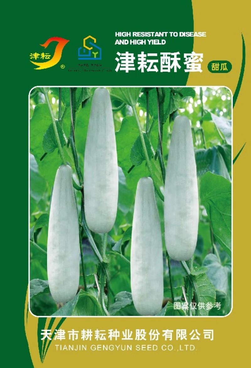 津耘酥蜜甜瓜种子果型羊角型香甜酥脆细嫩多汁
