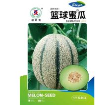 篮球蜜瓜种子清香甘甜