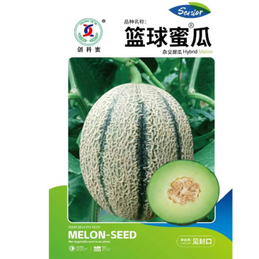 篮球蜜瓜种子清香甘甜