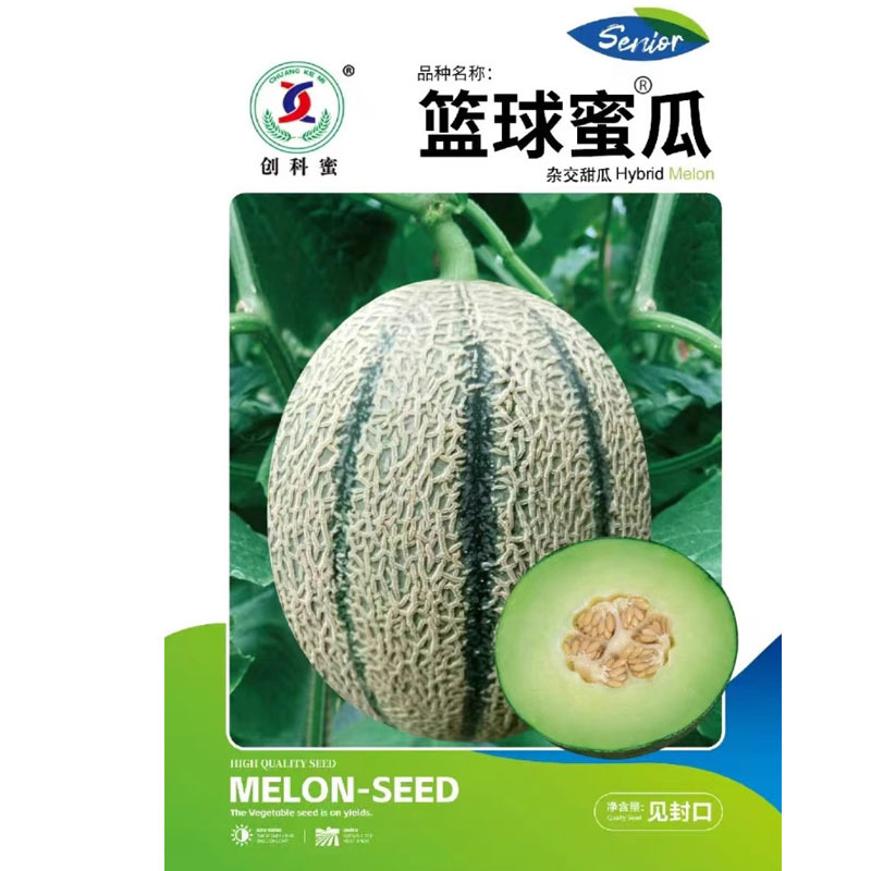 篮球蜜瓜种子清香甘甜