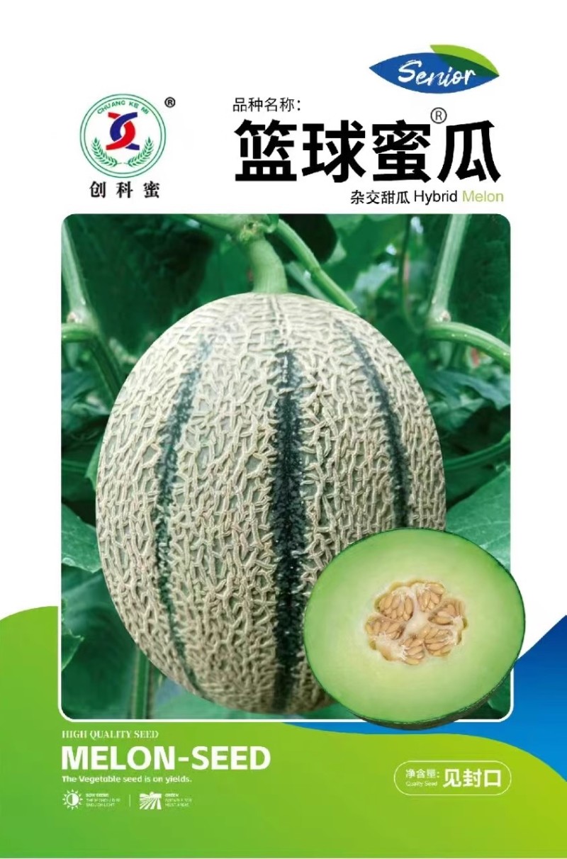 篮球蜜瓜种子清香甘甜