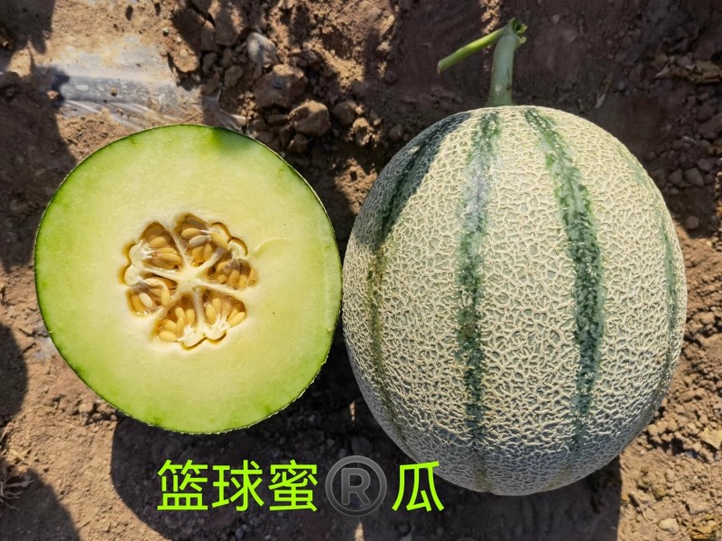 篮球蜜瓜种子清香甘甜