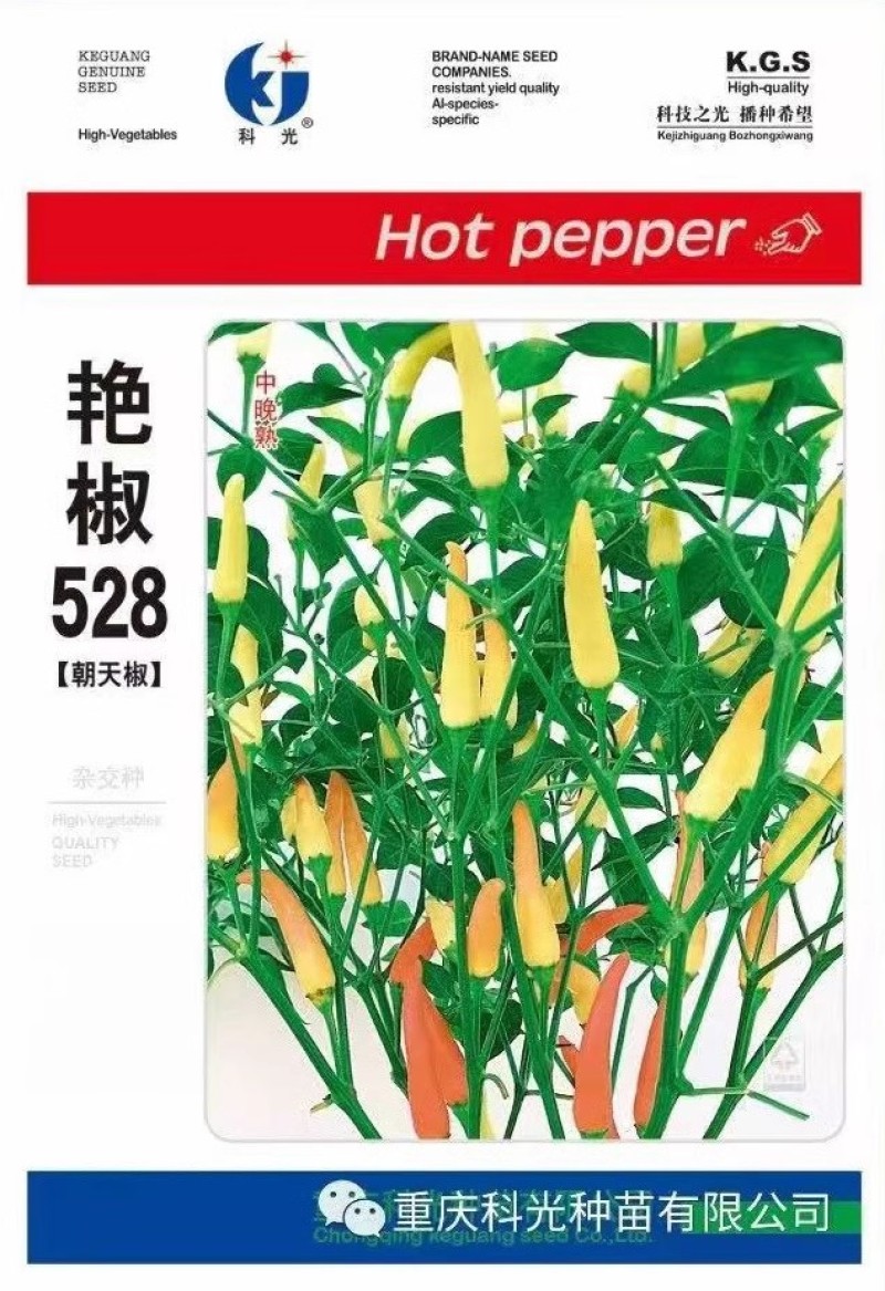 艳椒528朝天椒种子朝天单生小尖椒种子果肉薄味辛辣
